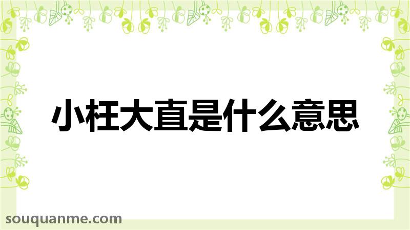 小枉大直是什么意思 小枉大直的拼音 小枉大直的成语解释